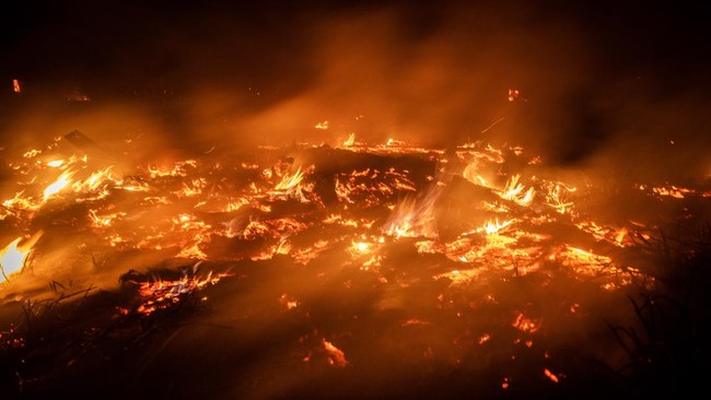 Nighttime wildfire burning through dry vegetation with bright flames and rising smoke across a scorched landscape